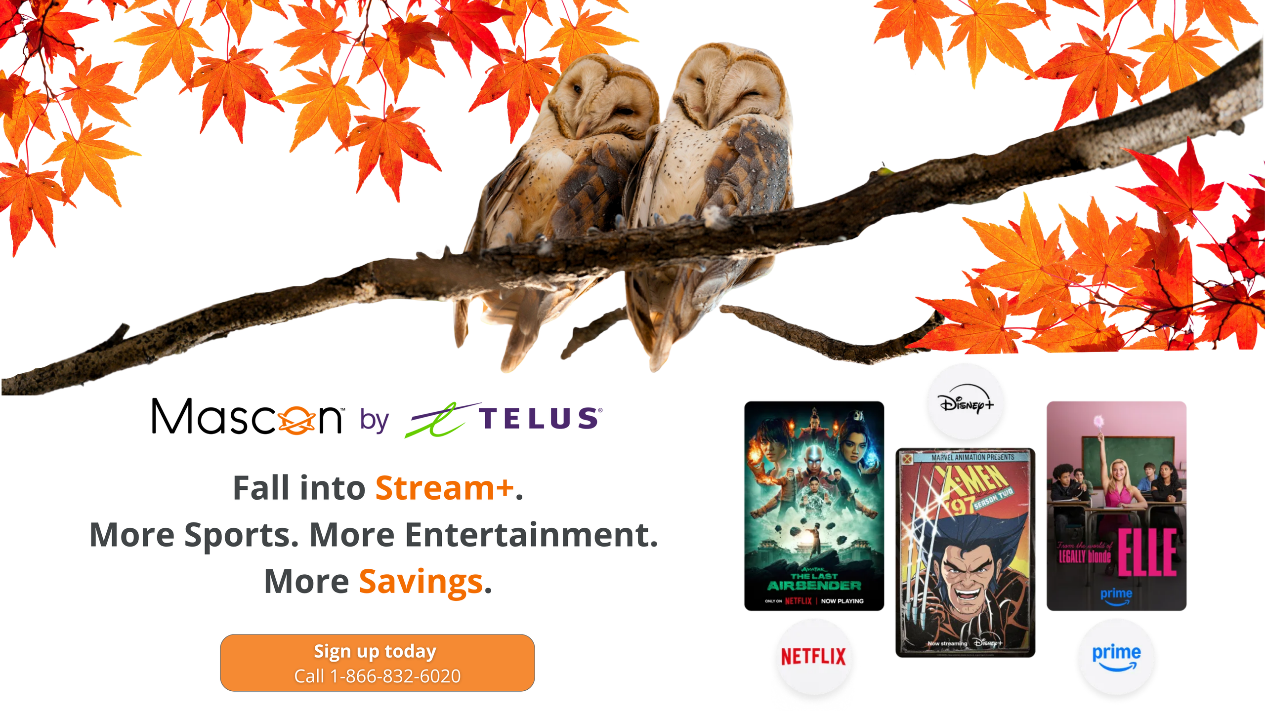 Fall into Stream+
